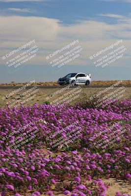 media/Jan-08-2023-SCCA SD (Sun) [[8f6a5b9391]]/Novice Group/Session 2 (Short Straight)/